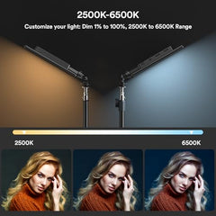 2-Pack Bi-Color LED Video Light Kit with Stands
